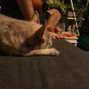 Meet your Posher, Angelica